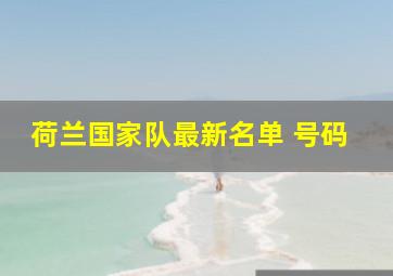 荷兰国家队最新名单 号码